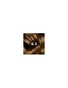 PHYTOCOLOR 6.3 RUBIO OSCURO DORADO 2