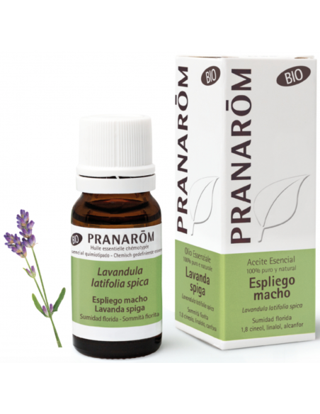 Meta title-Pranarôm_ACEITE_ESENCIAL_ESPLIEGO_MACHO_10ML