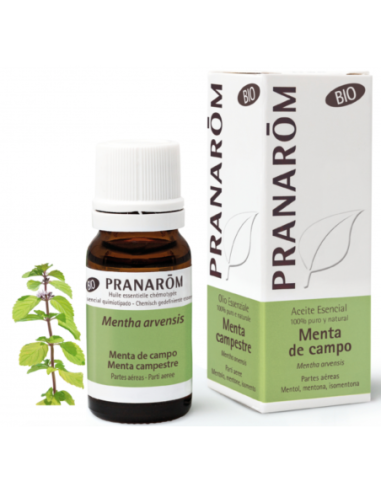 Meta title-Pranarôm_ACEITE_ESENCIAL_MENTA_DEL_CAMPO_10_ML