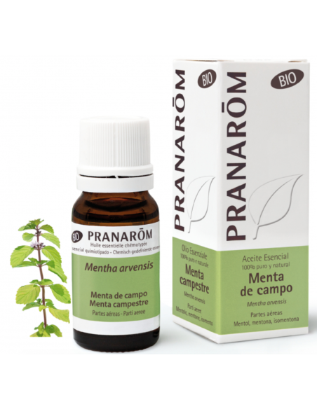 Meta title-Pranarôm_ACEITE_ESENCIAL_MENTA_DEL_CAMPO_10_ML