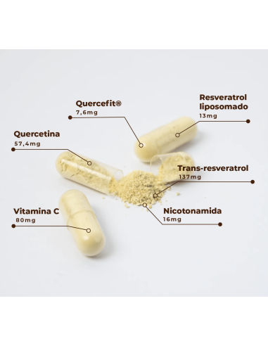 KOBHO TRANS RESVERATROL + QUERCETIN 60 CAPSULAS