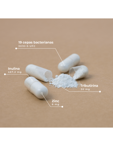 KOBHO PRE- POST PROBIOTIC 60 CAPSULAS