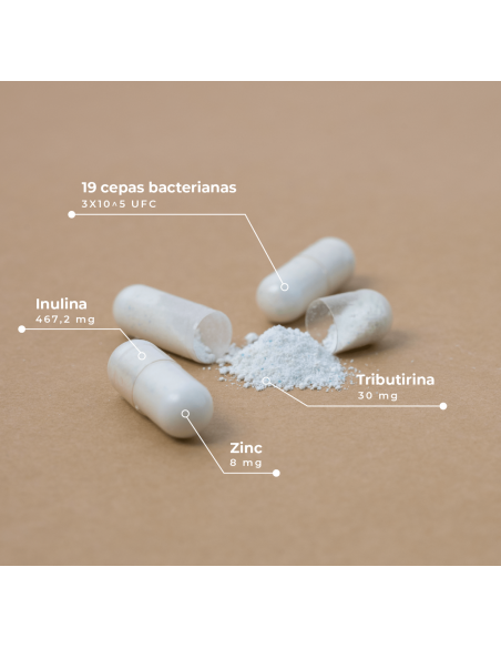 KOBHO PRE- POST PROBIOTIC 60 CAPSULAS