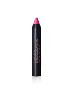 CAMALEON BASIC COLOURSTICK METALLIC 4 G FRESA